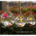 Shape Borosilicate Hanging Glass Vase